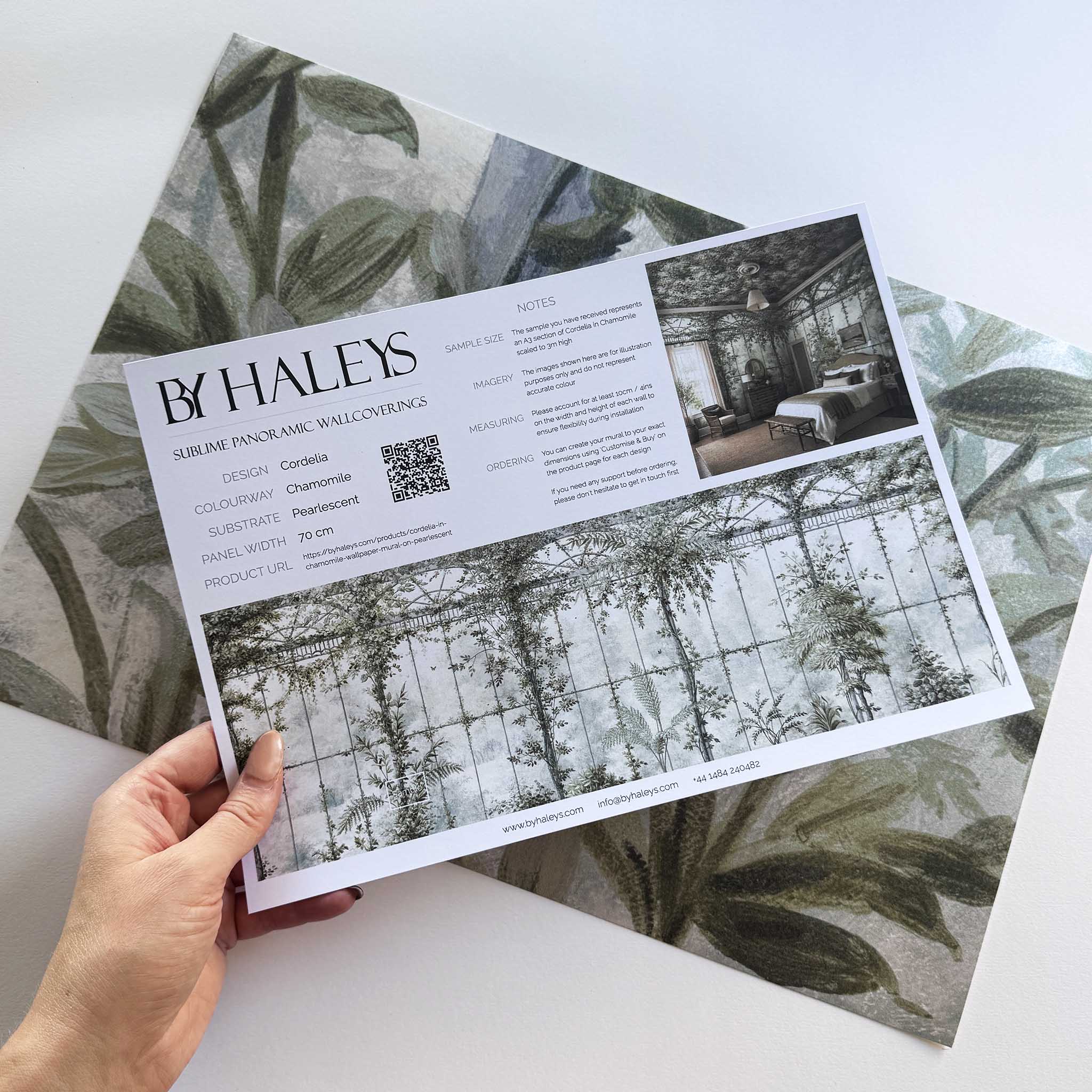A hand showing information for a pearlescent wallpaper mural sample which features sunlit conservatory mural in chamomile & sage tones.