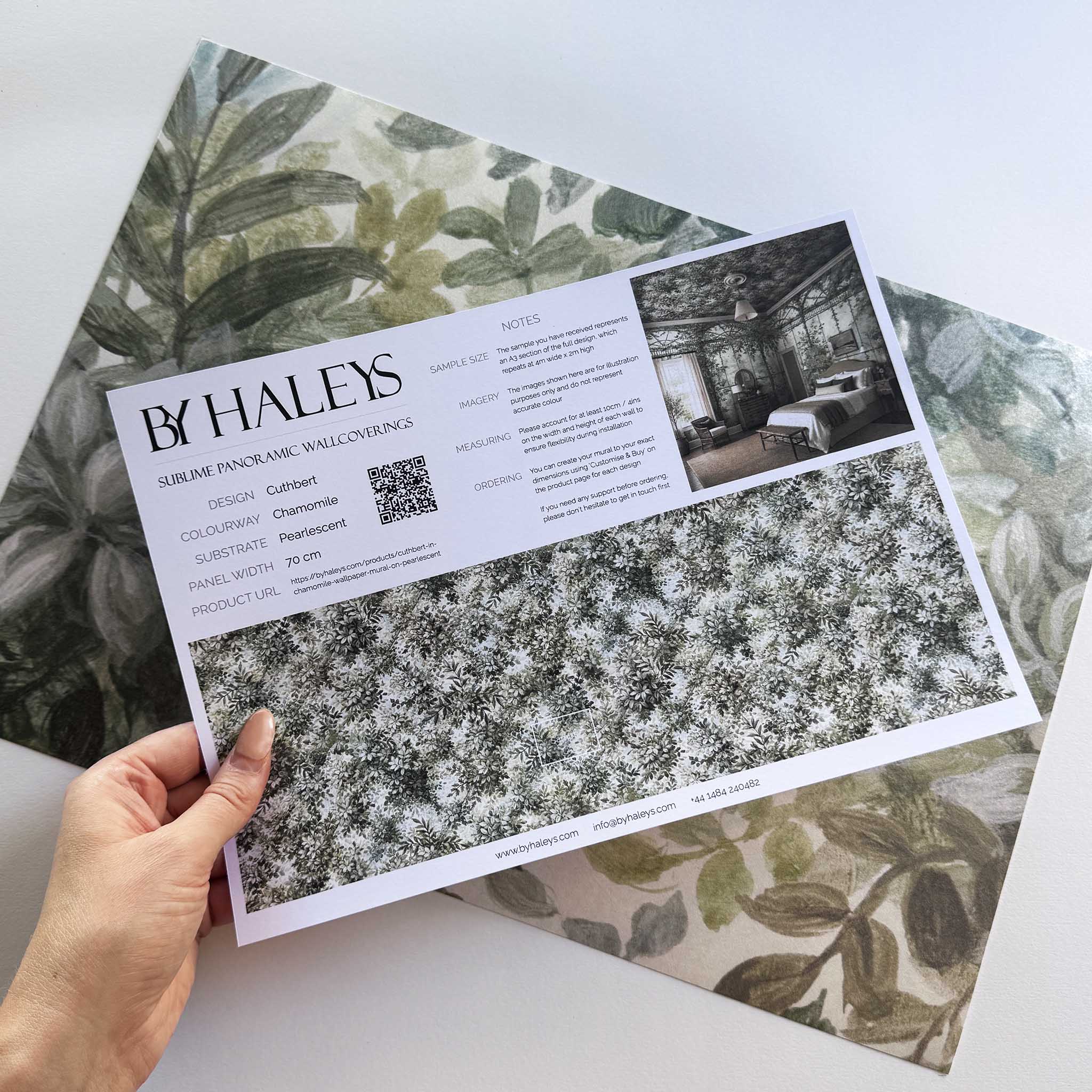 A hand showing information for a pearlescent wallpaper mural sample which features calm mural in chamomile, sage, olive and cream tones.