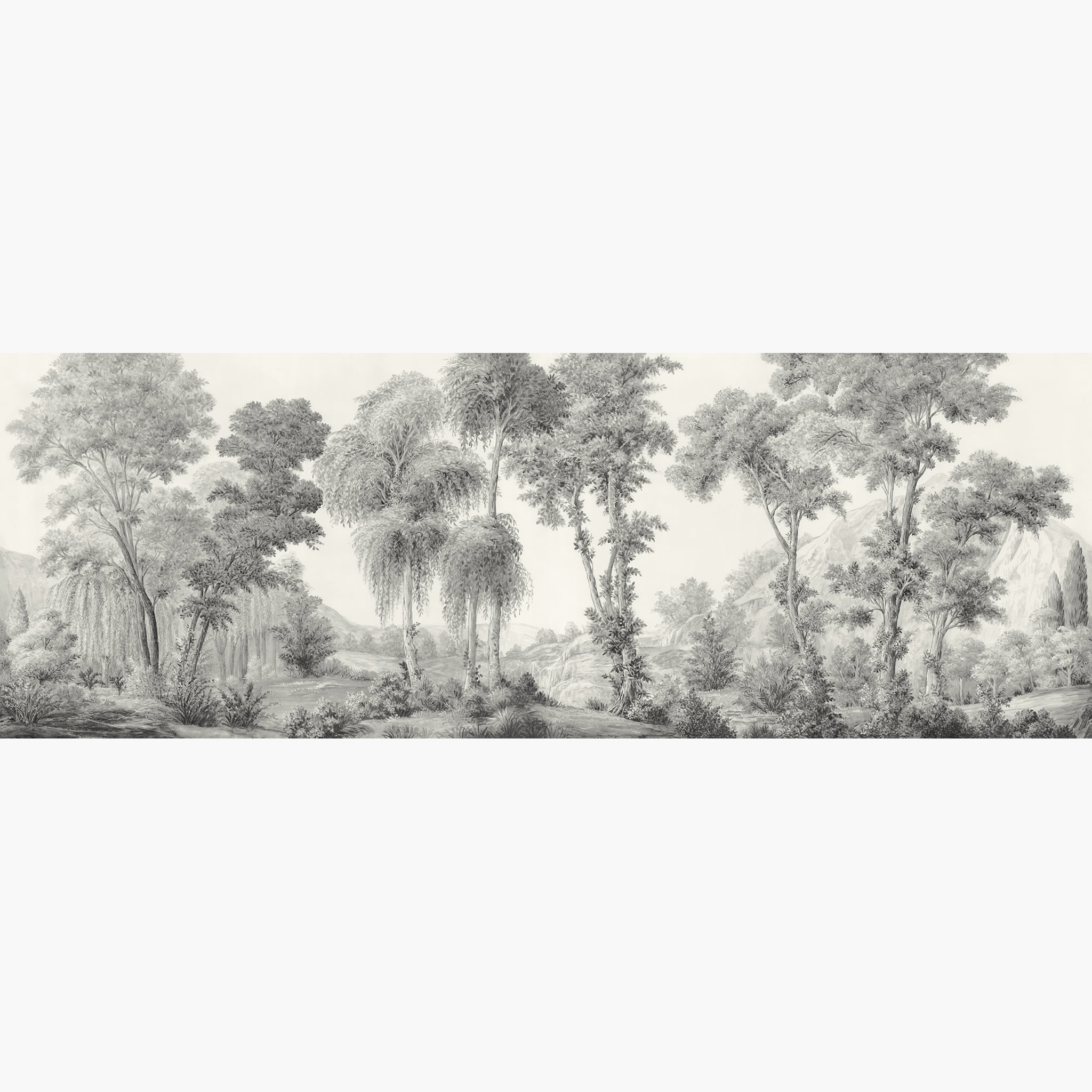 Artwork of a panoramic wallpaper mural featuring a stately forest in painterly ash grey and parchment
