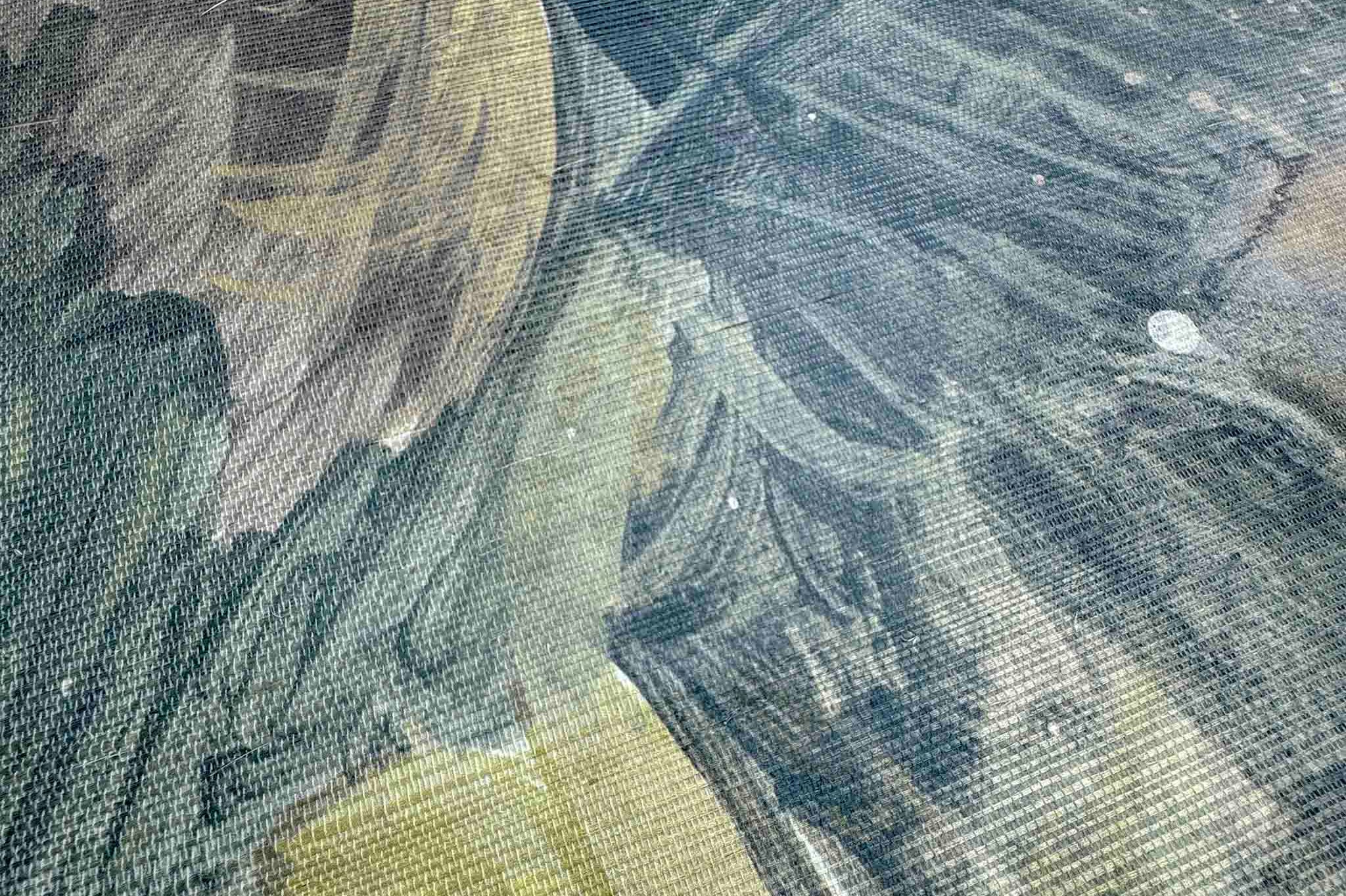 Close-up of a panoramic wallpaper mural featuring deep greens and soft browns, depicting a tropical rainforest scene.