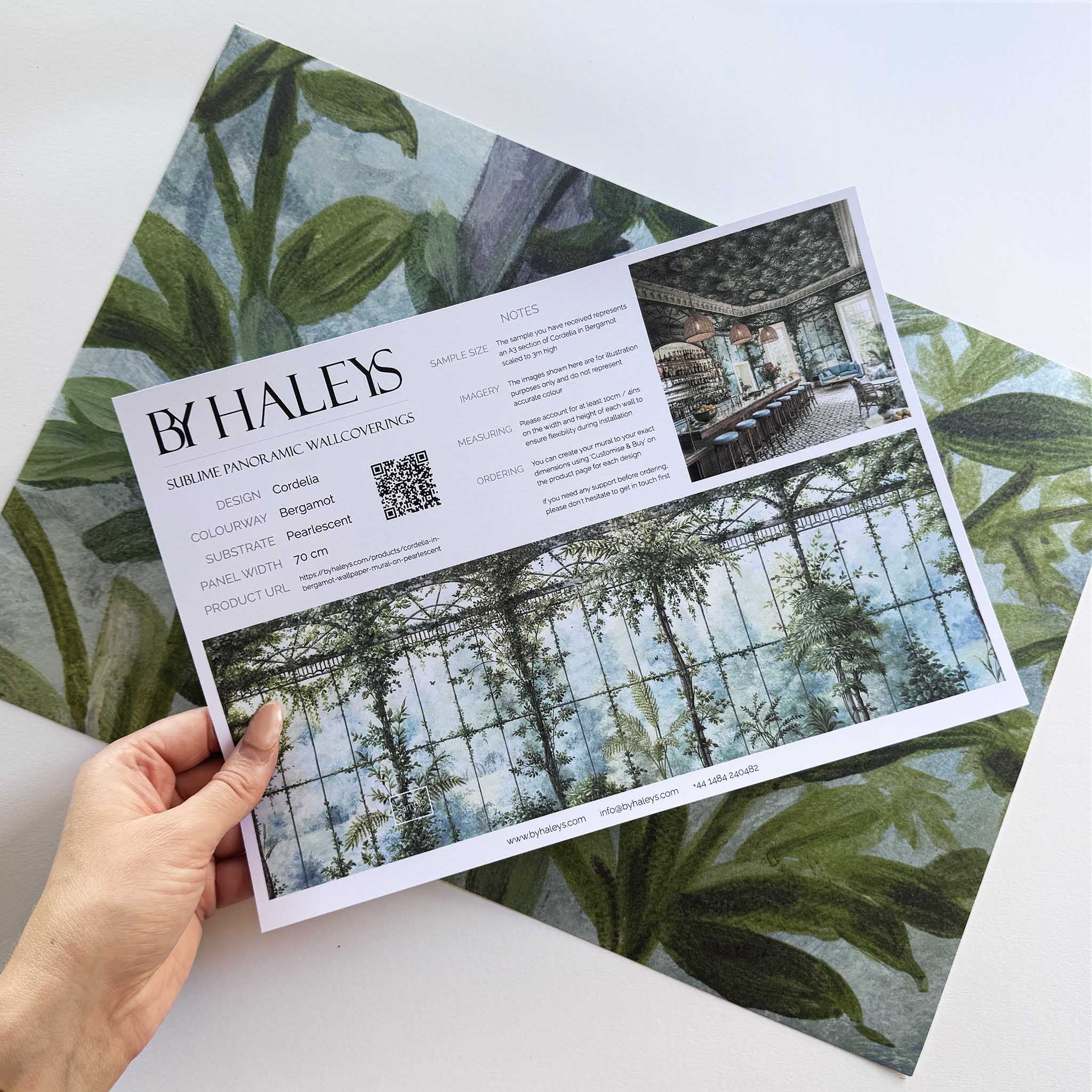 A hand showing information for a pearlescent wallpaper mural sample which features serene bergamot mural with celadon and sage tones.