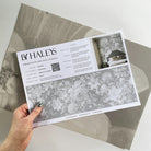 A hand showing information for a matte wallpaper mural sample which features misty whites on dove grey floral