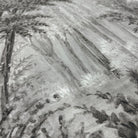 A close up view showing the detail of a matte wallpaper mural which features ash grey forest