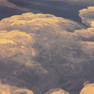 A close up view showing the detail of a matte wallpaper mural which features warm peach clouds