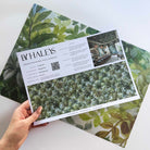 A hand showing information for a pearlescent wallpaper mural sample which features bergamot-green mural with layered foliage and soft light.