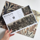 A hand showing information for a grasscloth wallpaper mural sample which features a countryside in teal, sea green and slate 