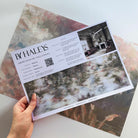 A hand showing information for a pearlescent wallpaper mural sample which features soft mural in chicory blue, dusty rose, sage and ochre.